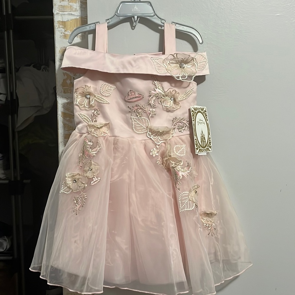 Disney princess dress
